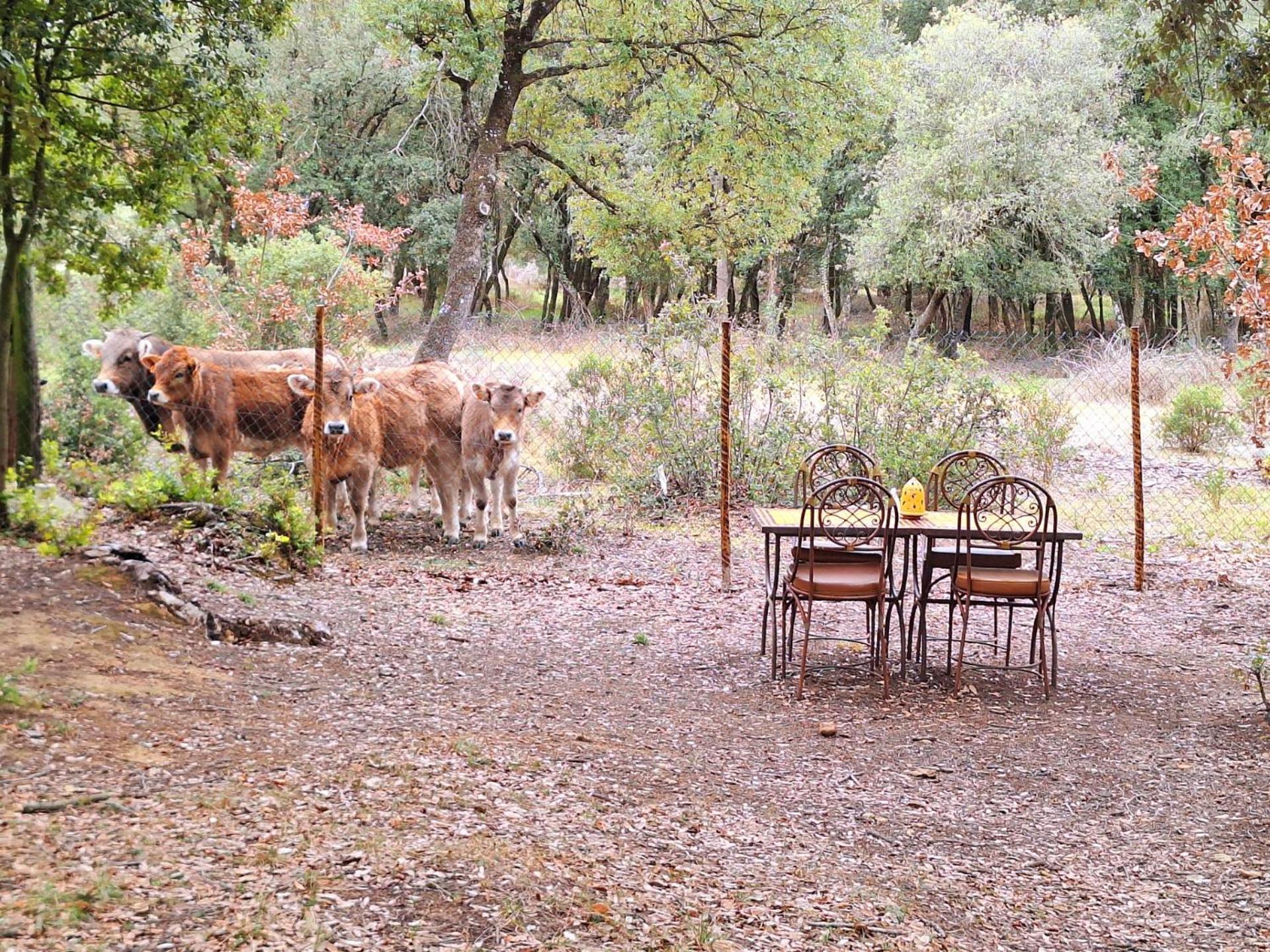 Casa Natura Montseny Barcelona Eksteriør bilde